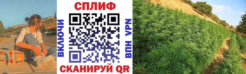 Купить закладки  Игарка  Конопля сатива 